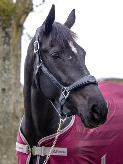 LeMieux LeMieux Stitched Leather Headcollar Black