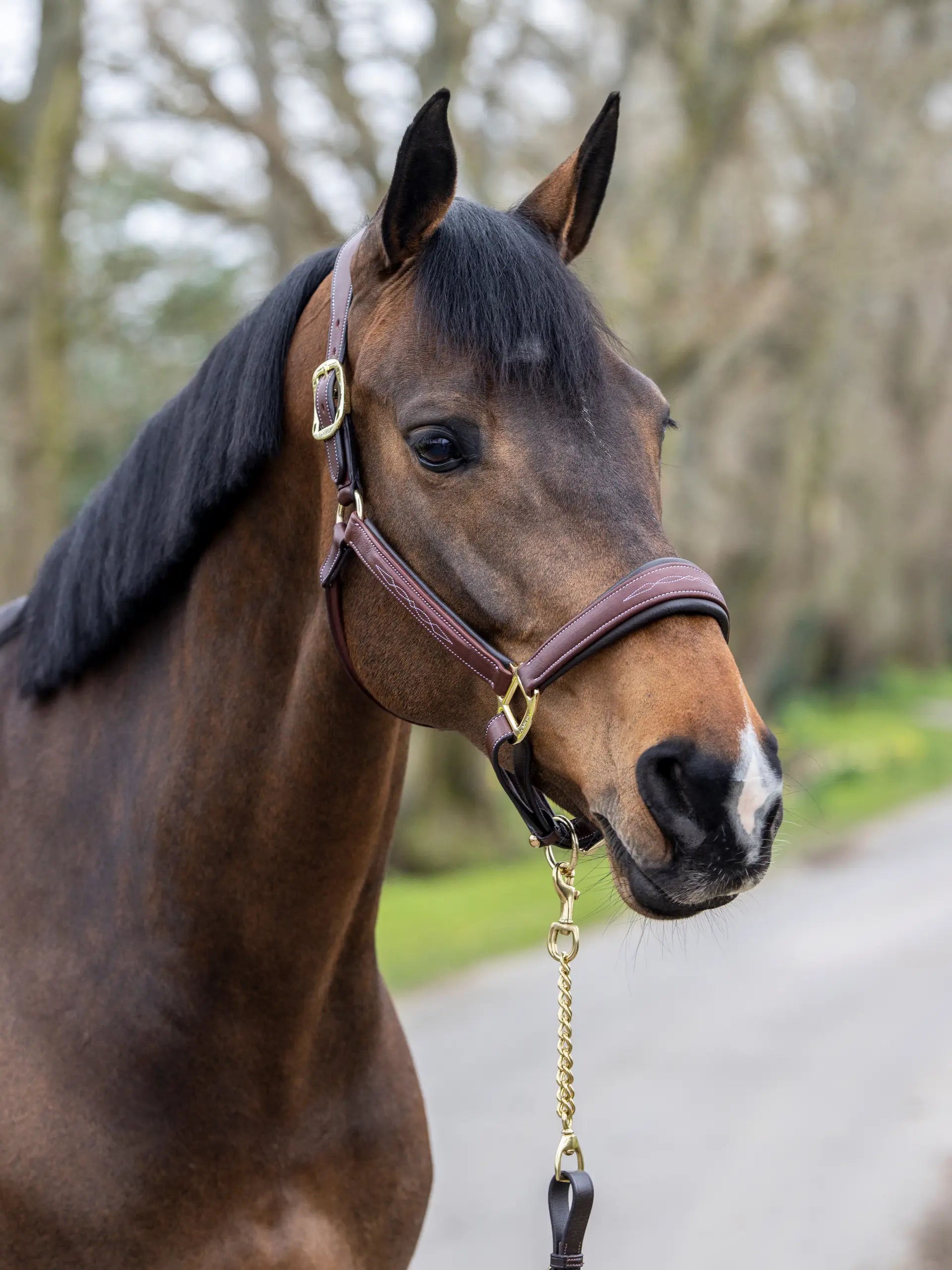 LeMieux LeMieux Stitched Leather Headcollar Brown