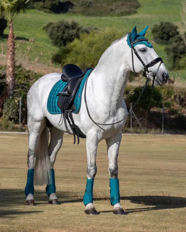 LeMieux Loire Memory Dressage Square Peacock