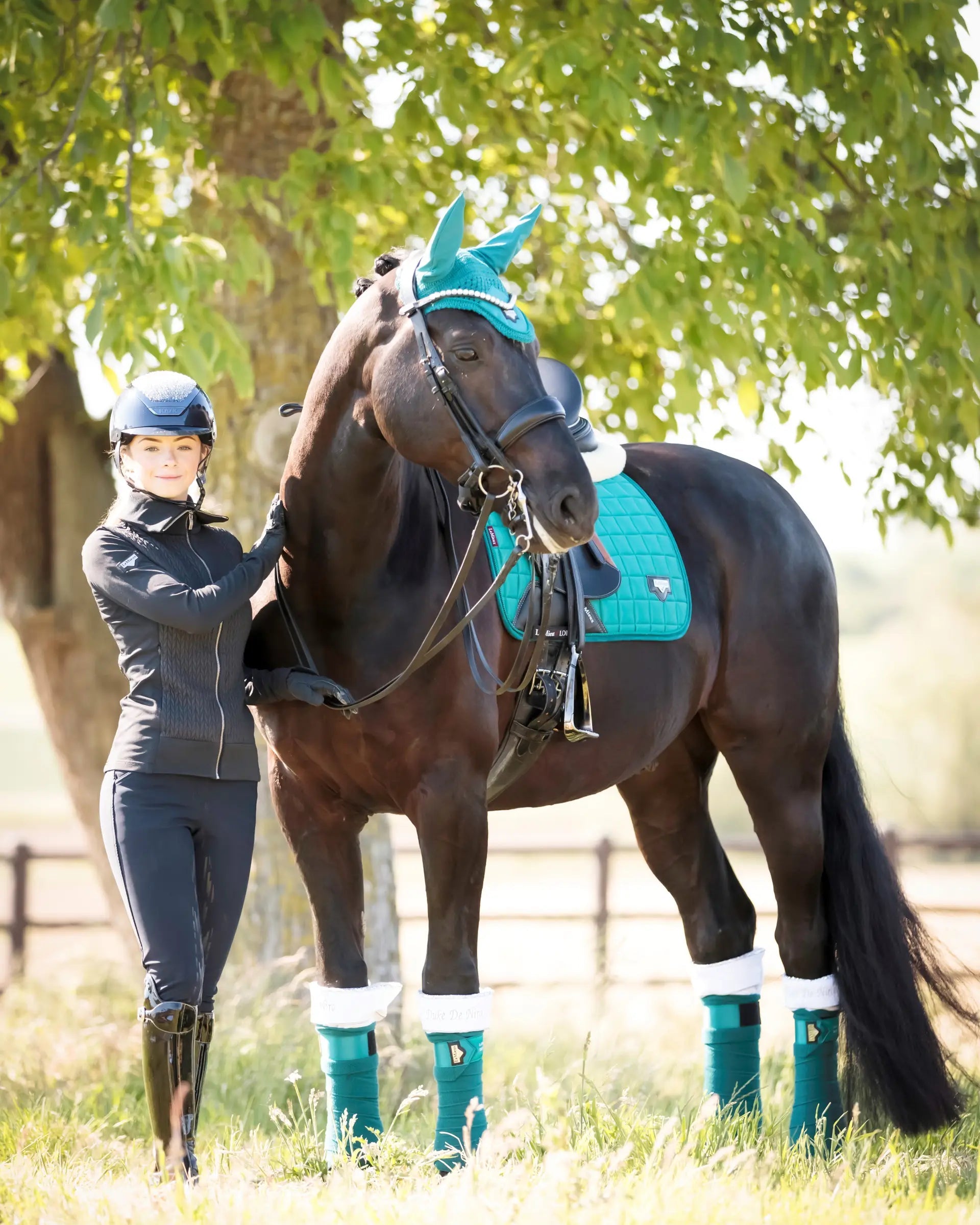 LeMieux Loire Classic Dressage Square Peacock