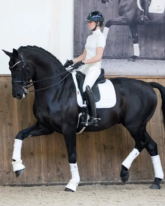 LeMieux Loire Memory Dressage Square White
