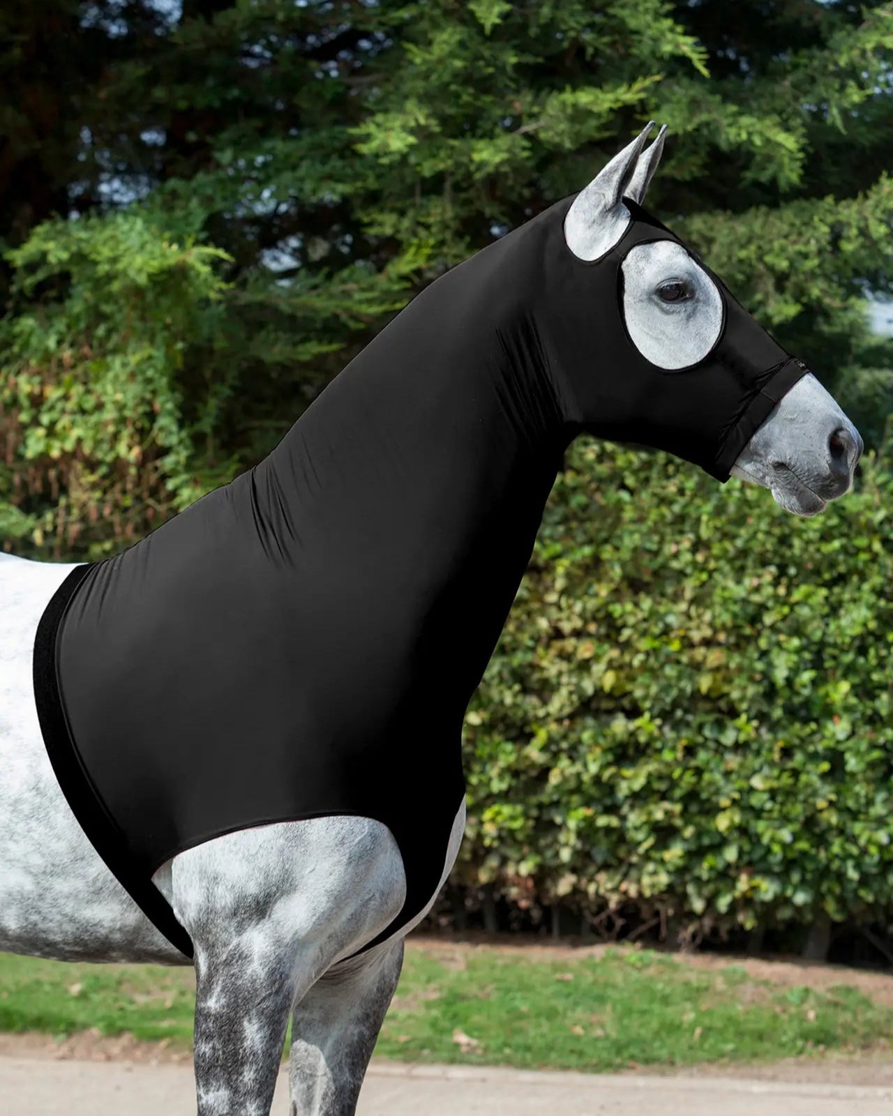 LeMieux Black Stretch Hood for Horses: Close Fit, Protection. Show Day Essential!