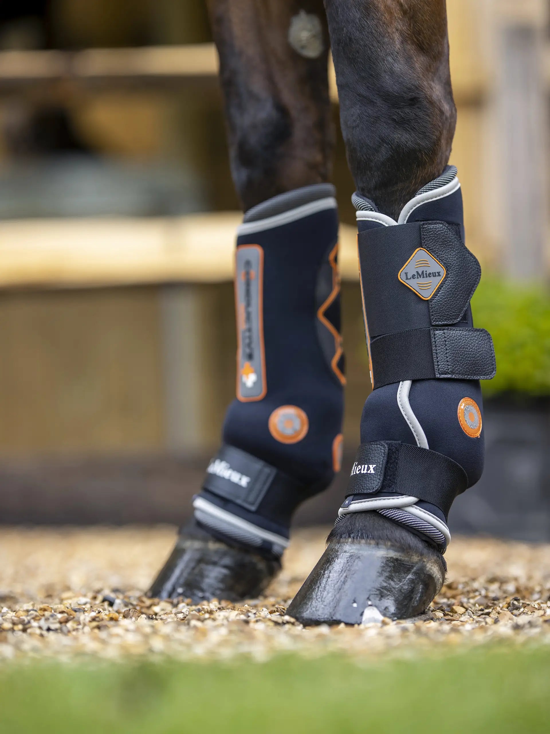 LEMIEUX Conductive Magno Boots: Equestrian leg protection for horses with magnetic therapy. Equiflair