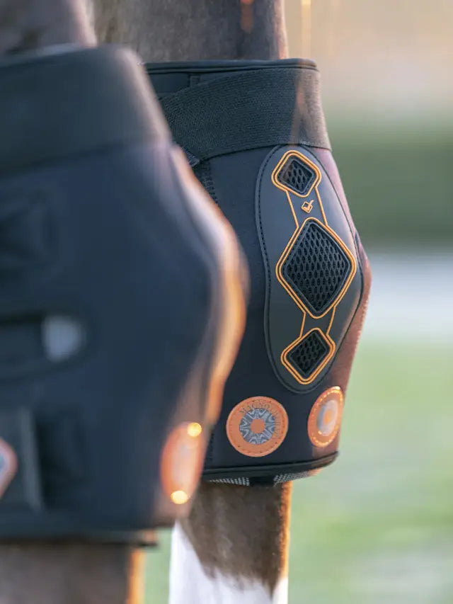 LeMieux Conductive Magno Hock Boots: Magnetic Therapy for Horse Legs | Equiflair