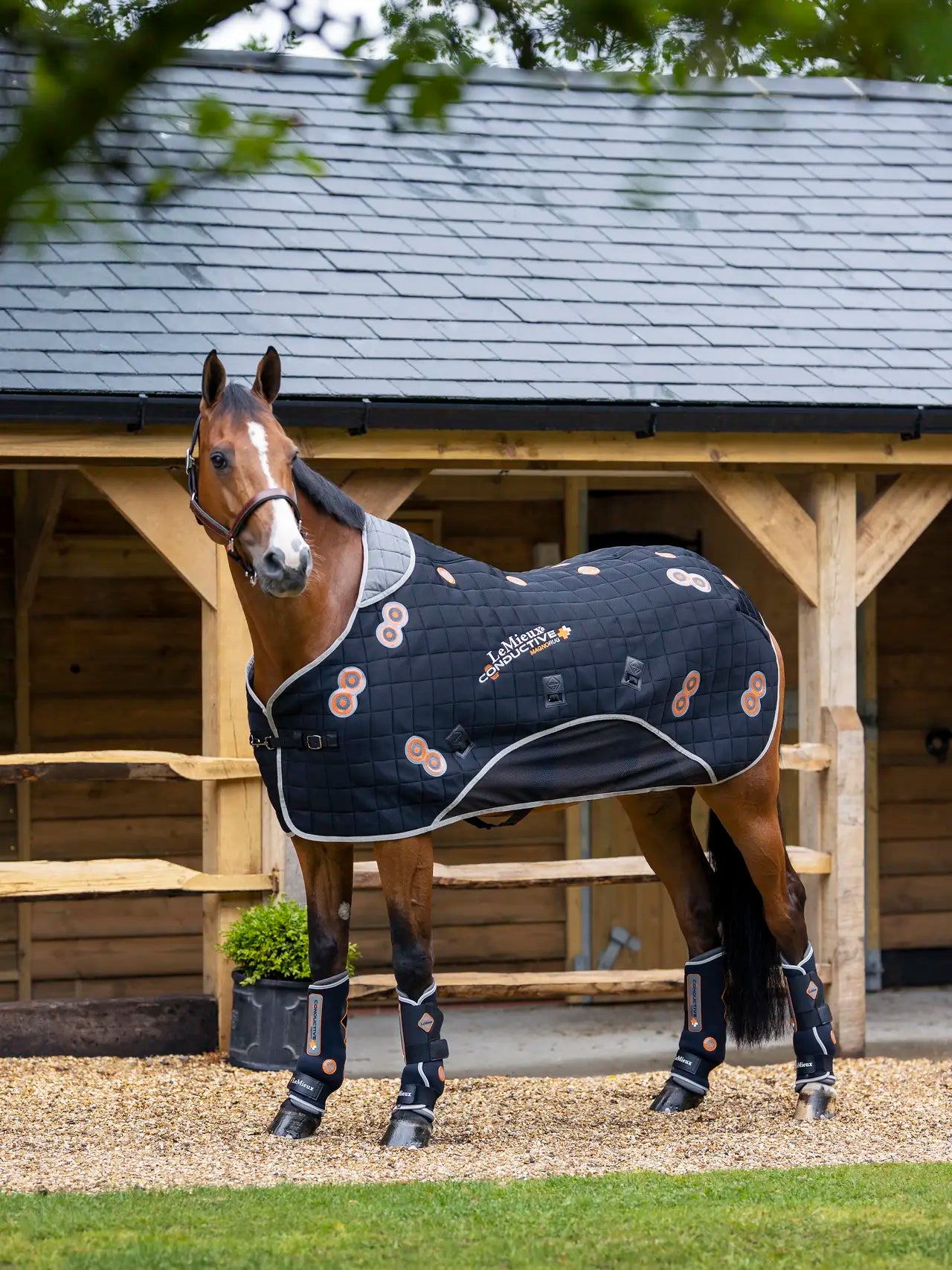 LeMieux Conductive Magno Rug: Magnetic Therapy Horse Rug for Equine Recovery & Performance | Equiflair