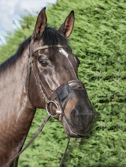 Lemieux Comfort Shield Nose Filter for Horses - Brown Fly Mask for Headshaking & Summer Irritations - Equiflair