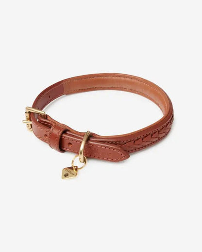LeMieux Oxford Dog Collar Tan | Equiflair