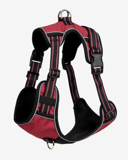 LeMieux Wellow Dog Harness Burgundy | Equiflair