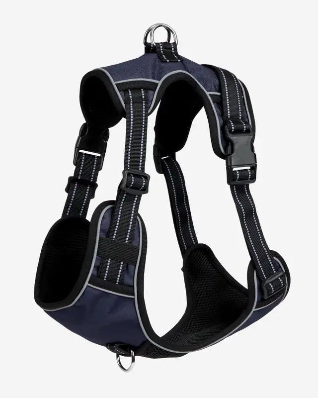 LeMieux Wellow Dog Harness Navy | Equiflair