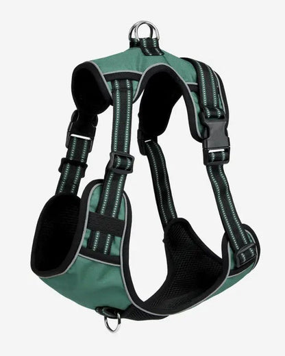 LeMieux Wellow Dog Harness Sage | Equiflair