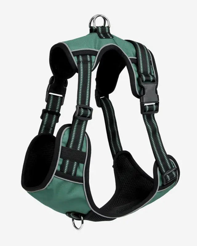 LeMieux Wellow Dog Harness Sage | Equiflair