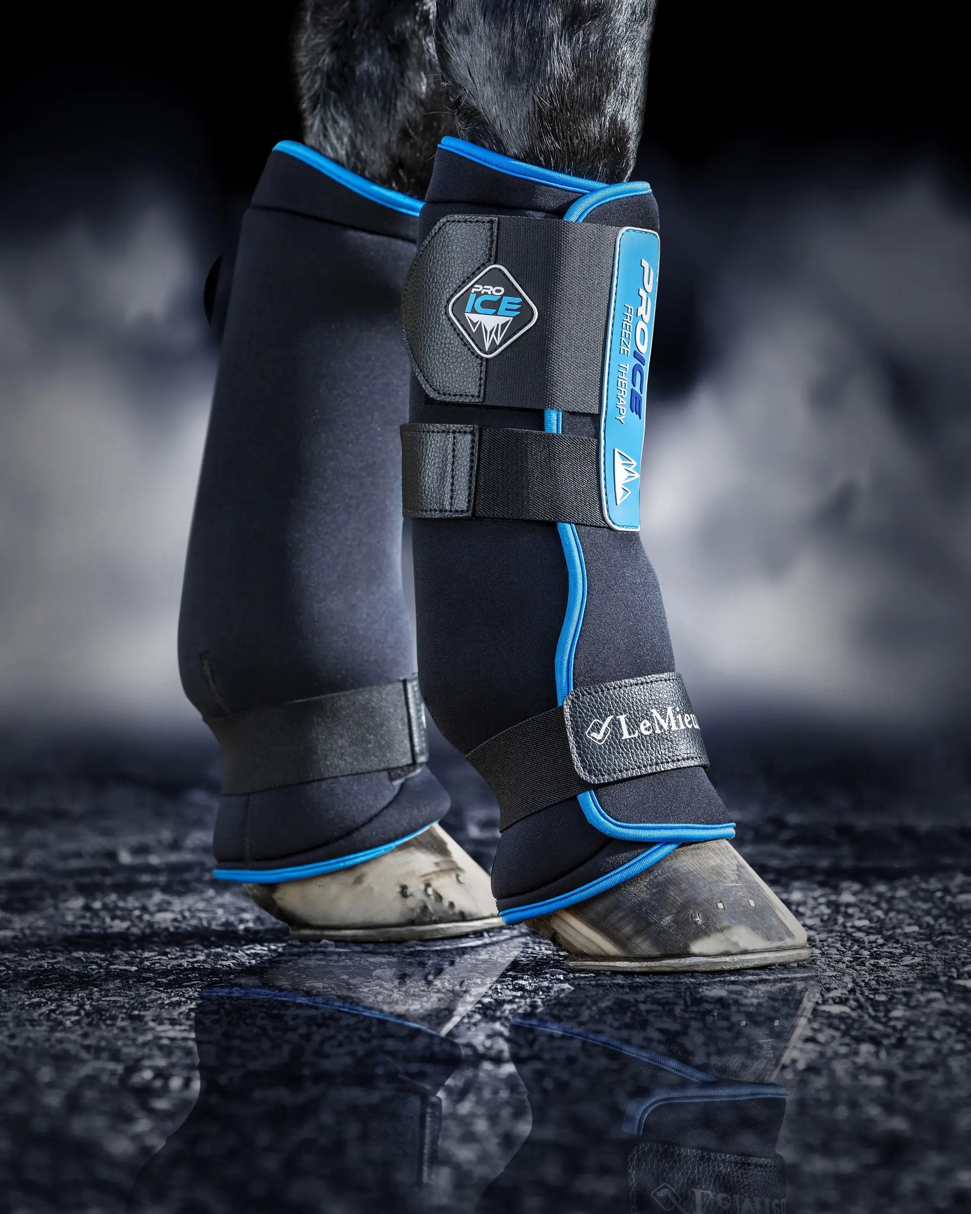 LeMieux ProIce Freeze Boots for Horse Legs: Cooling boots for tendon and joint therapy after exercise