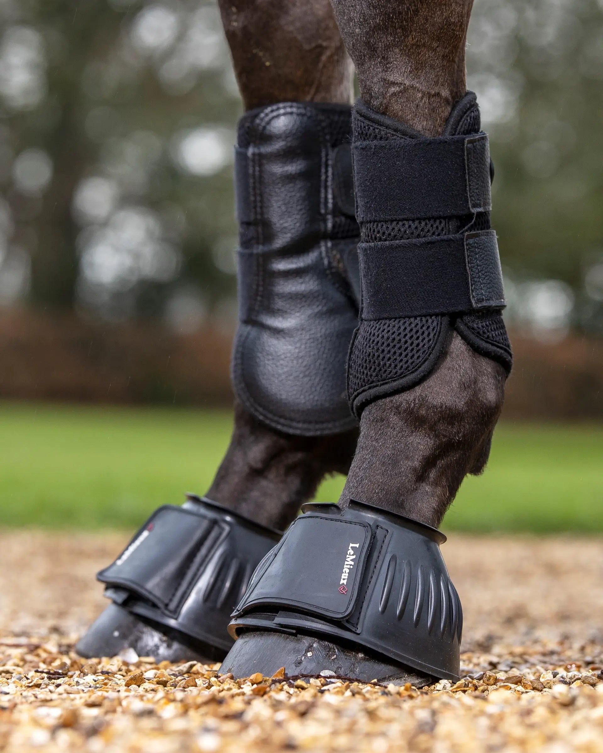 LeMieux Rubber Bell Boots Black - Horse Leg Protection, Overreach Boots, Equestrian Equipment