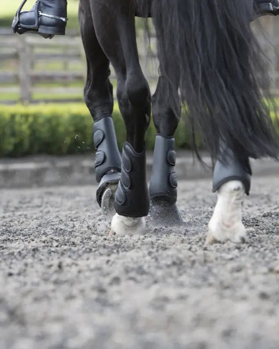 LeMieux Schooling Boots Black: Protective Horse Leg Wear for Dressage & General Riding, Equiflair