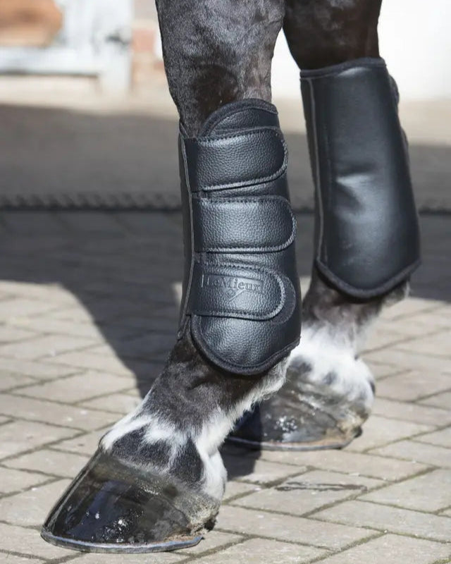 LeMieux Schooling Boots Black for Horses: Leg Protection for Riding