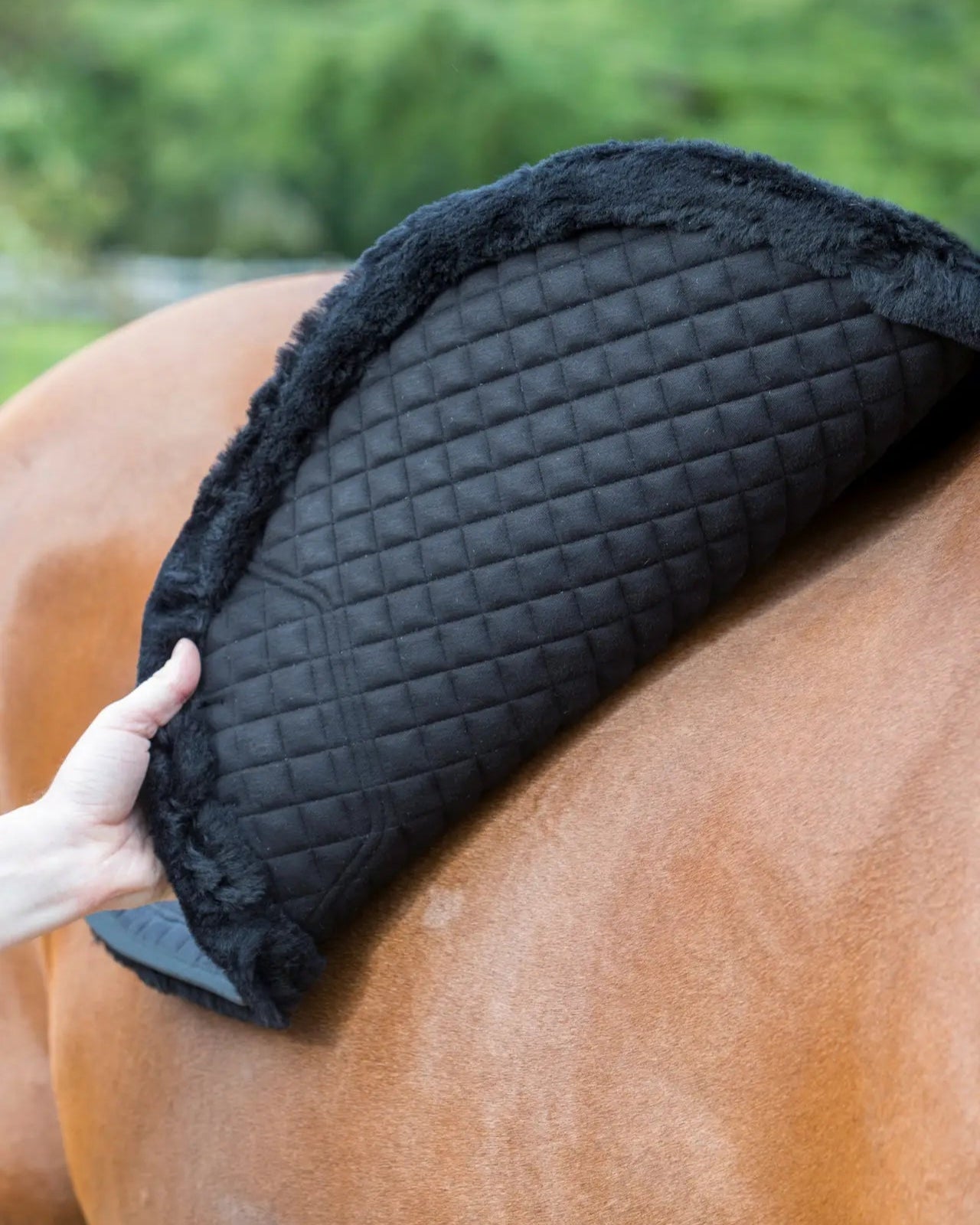 LEMIEUX SENSITIVE EUROJUMP SQUARE BLACK Saddle Pad - Equiflair: For Horses with Sensitive Skin, Featuring Bamboo Lining & Merino+ Trim