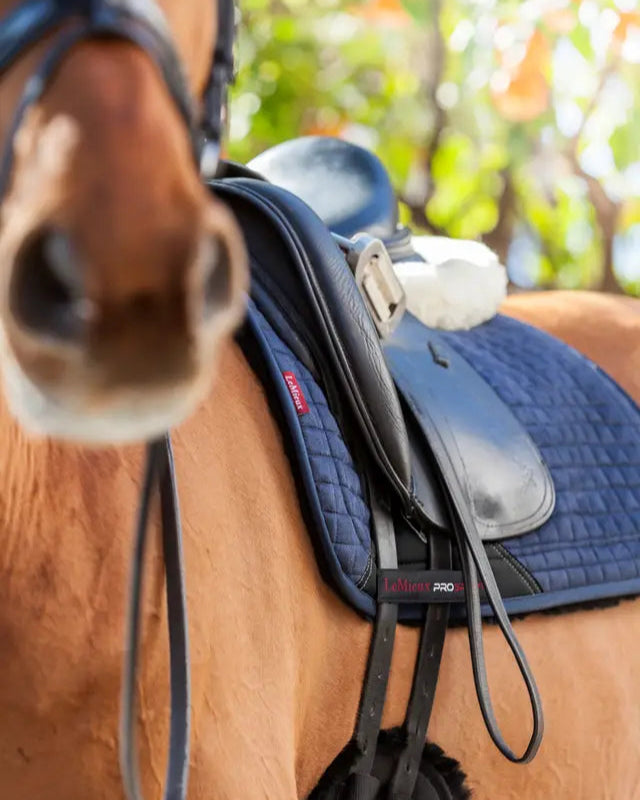 LeMieux Sensitive Dressage Square Navy