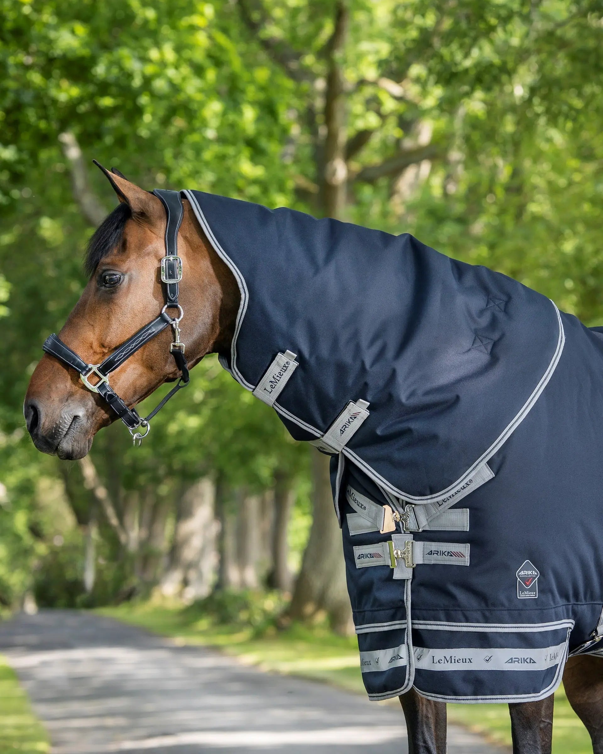 LeMieux Arika Storm-Tek Navy Horse Blanket Neck Cover 200g Waterproof