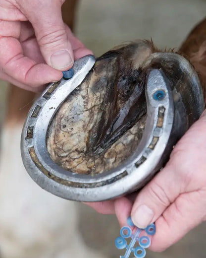 LEMIEUX Blue Horse Stud Plugs being inserted into Horse Hoof - Equiflair