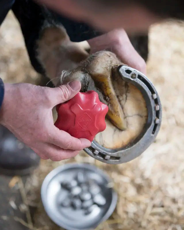 LEMIEUX Safety Stud Tap (Red) being used on horse hoof with horseshoe. Perfect for horse stud kits. Equiflair store.