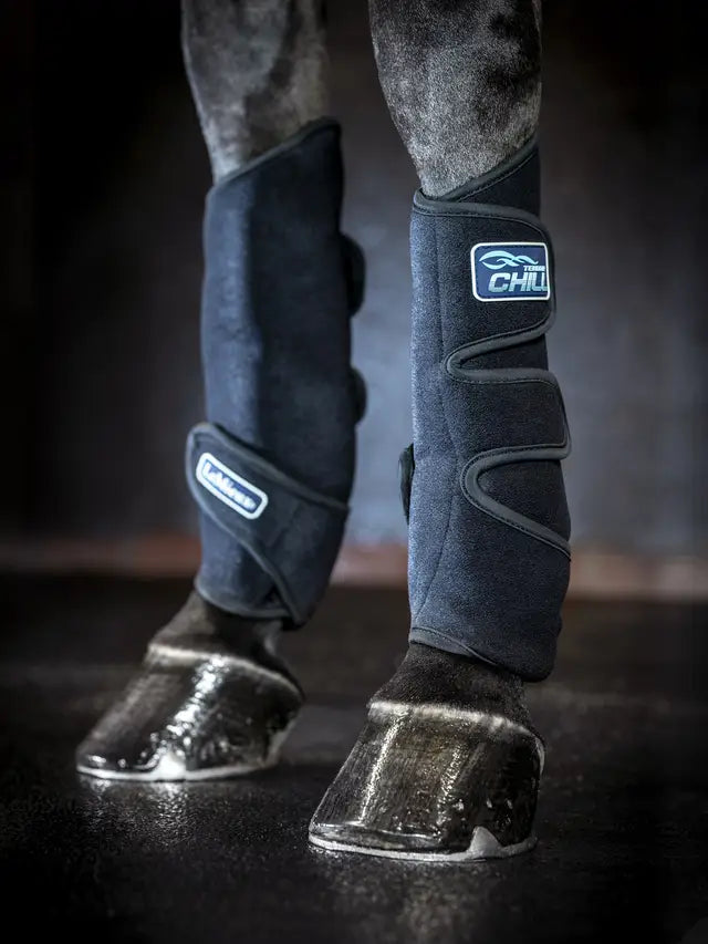 Lemieux Tendon Chill Boots: Cooling Horse Boots for Injury Prevention & Recovery | Equine Leg Support