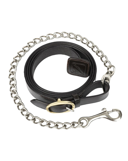 LeMieux Leather Trot Up Chain - Brown equestrian leather lead with silver chain, detachable, buckle - Equiflair