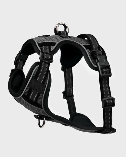 LeMieux Winchester Dog Harness Black | Equiflair