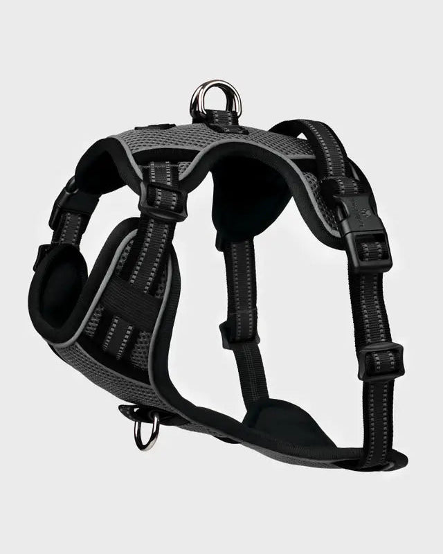 LeMieux Winchester Dog Harness Black | Equiflair