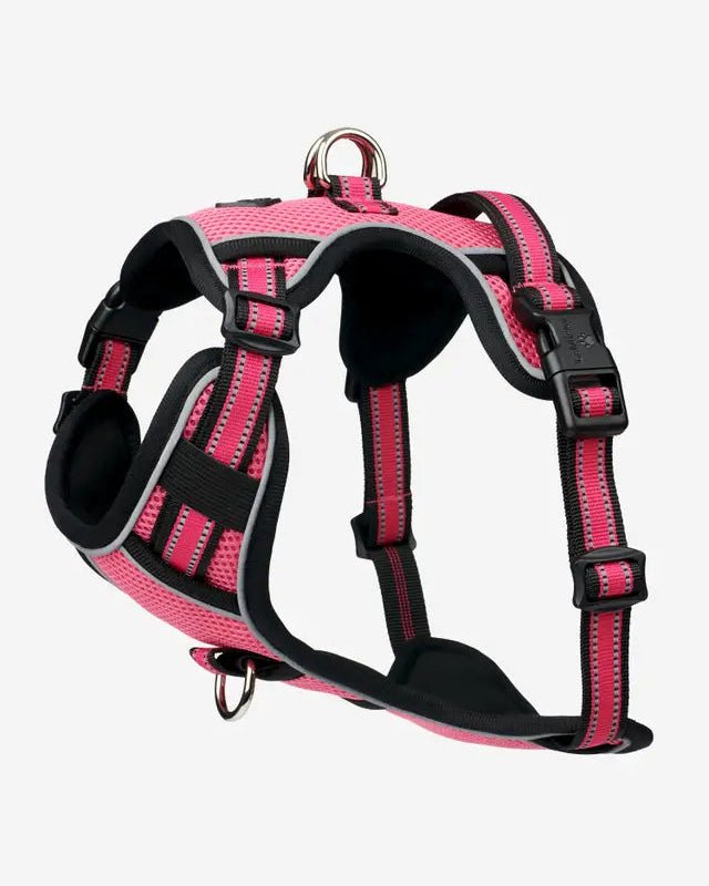 LeMieux Winchester Dog Harness Watermelon | Equiflair