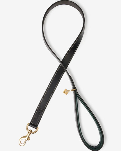 Lemieux Windsor Dog Leash - Hunter Green & Brown Leather Lead with Padded Handle, Swivel Clip - Dog Lead Dog Leads…