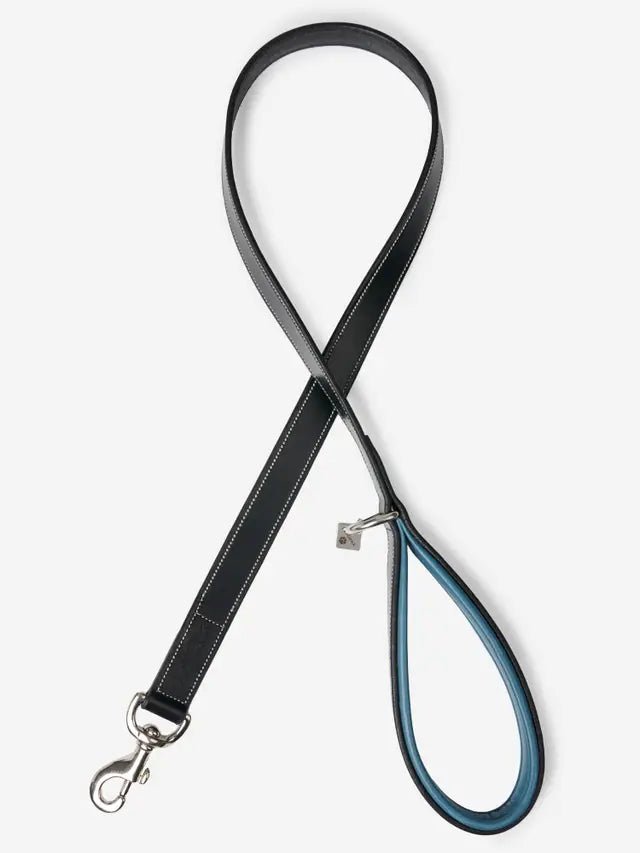 LeMieux Windsor Dog Lead Ice Blue/Black | Equiflair