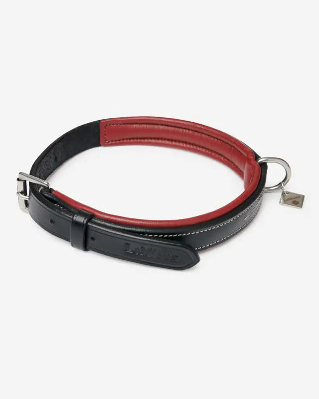 LEMIEUX WINDSOR Dog Collar: Burgundy & Black Padded Leather Collar, Metal Fittings, Elegant Stitch Details. Equiflair -…
