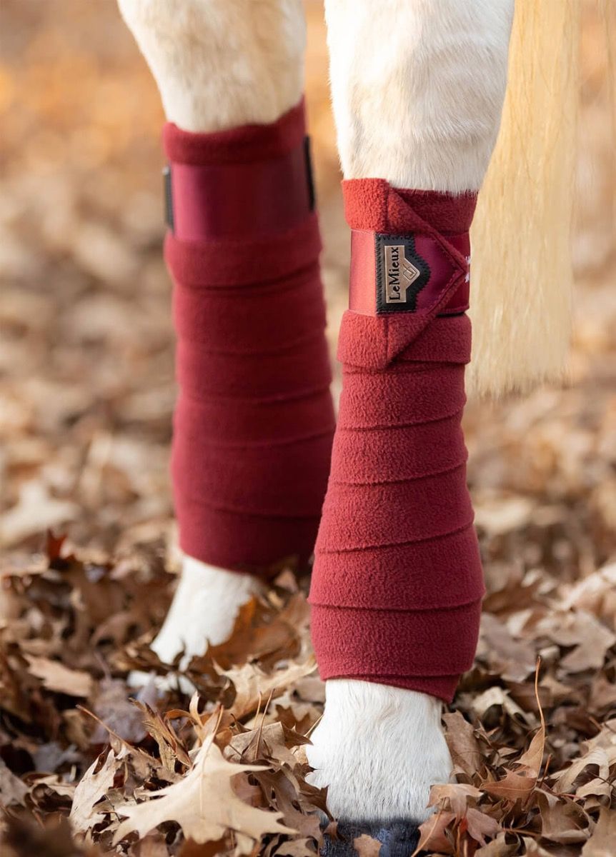 LeMieux Loire Rioja Horse Leg Wraps - Exercise Bandages for Horses