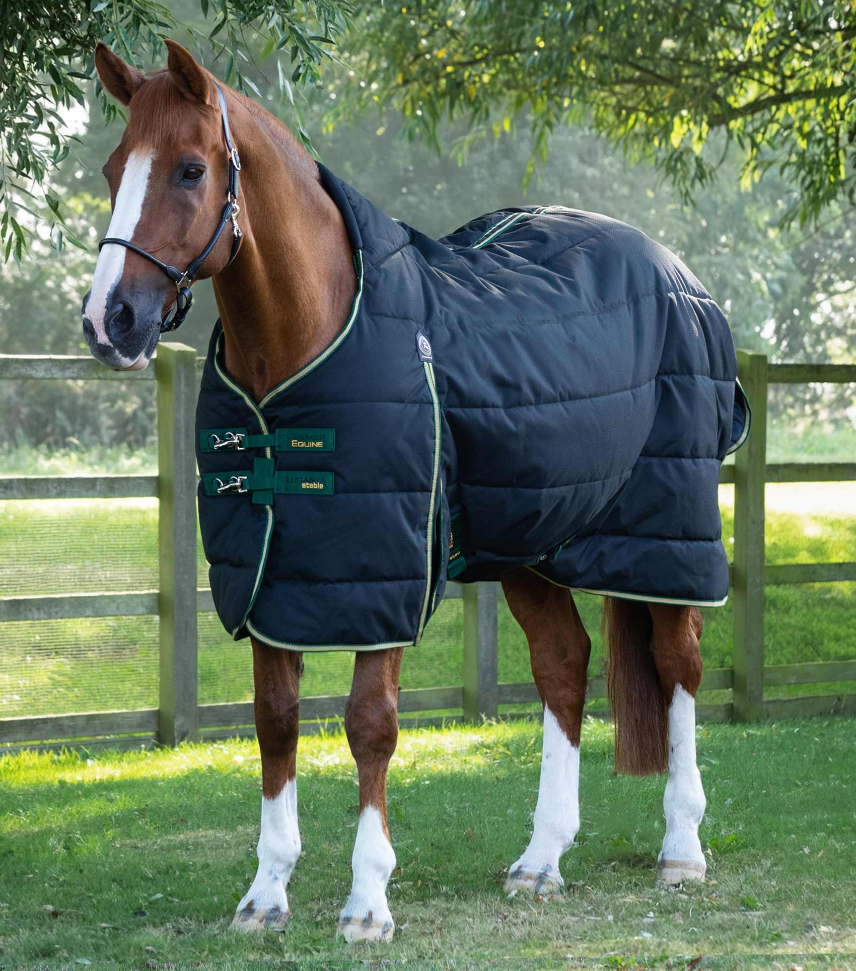 Premier Equine Lucanta Demi Stable Rug 450g Black: Breathable, Heavyweight Horse Blanket for Stable Use.
