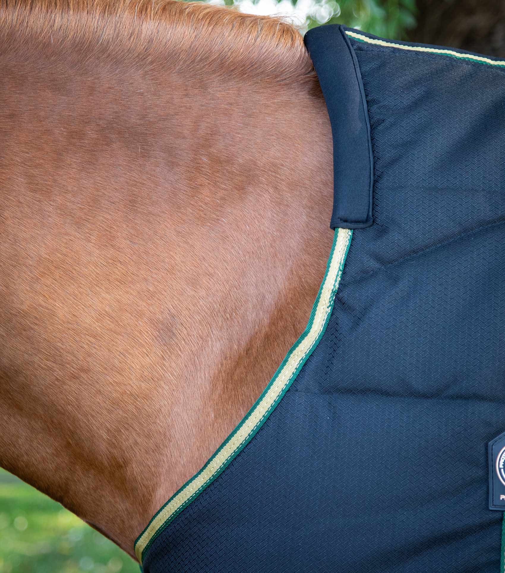 Horse Stable Rug - Premier Equine Lucanta Heavyweight 450g - Black Stable Blanket