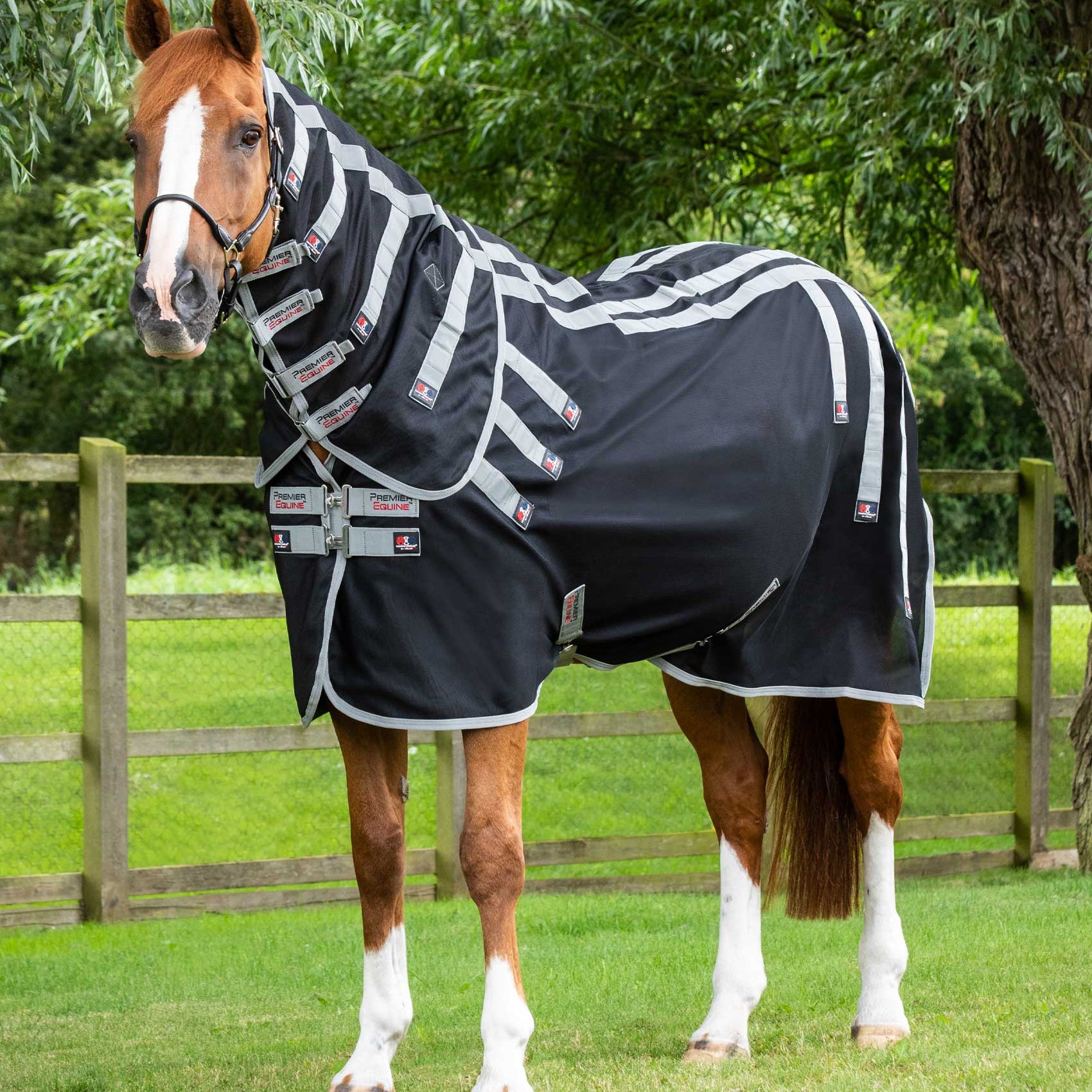 PREMIER EQUINE MAGNI-TEQUE Magnetic Horse Rug with Neck Cover Black | Equiflair - Horsewear, Magnetic Therapy Rug
