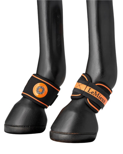 LEMIEUX MAGNO PASTERN WRAPS BLACK: Close-fitting neoprene wraps with magnets for increased blood flow, sold by Equiflair Saddlery
