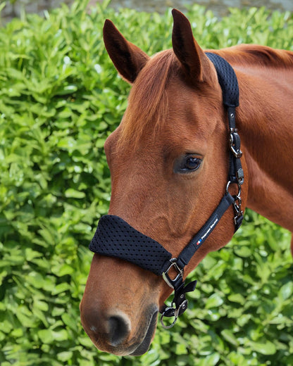 Premier Equine Necto 3D Mesh Head Collar Black. Comfortable horse headcollar with adjustable buckles. Equiflair.
