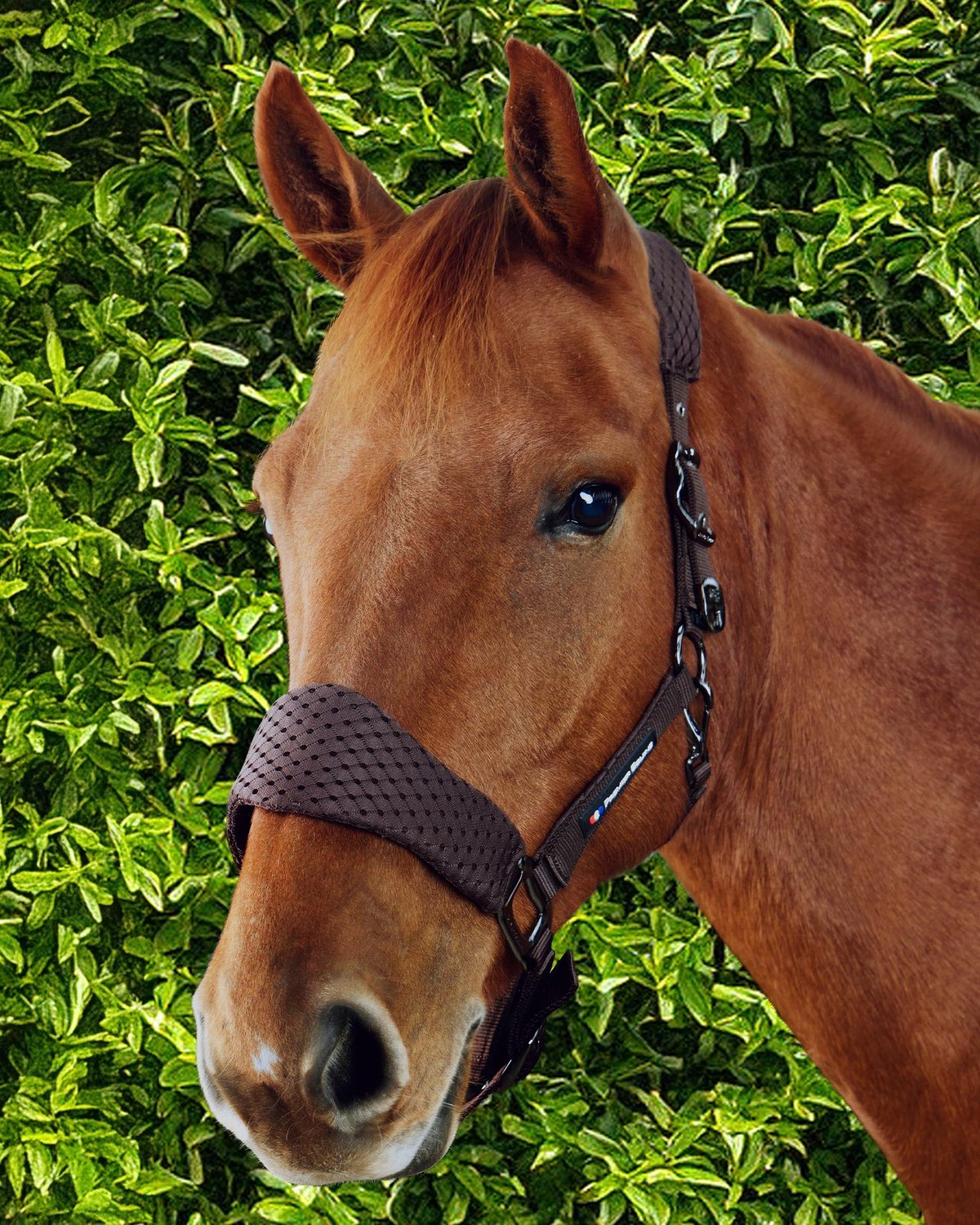 Premier Equine brown horse head collar with 3D mesh and lead rope, available at Equiflair