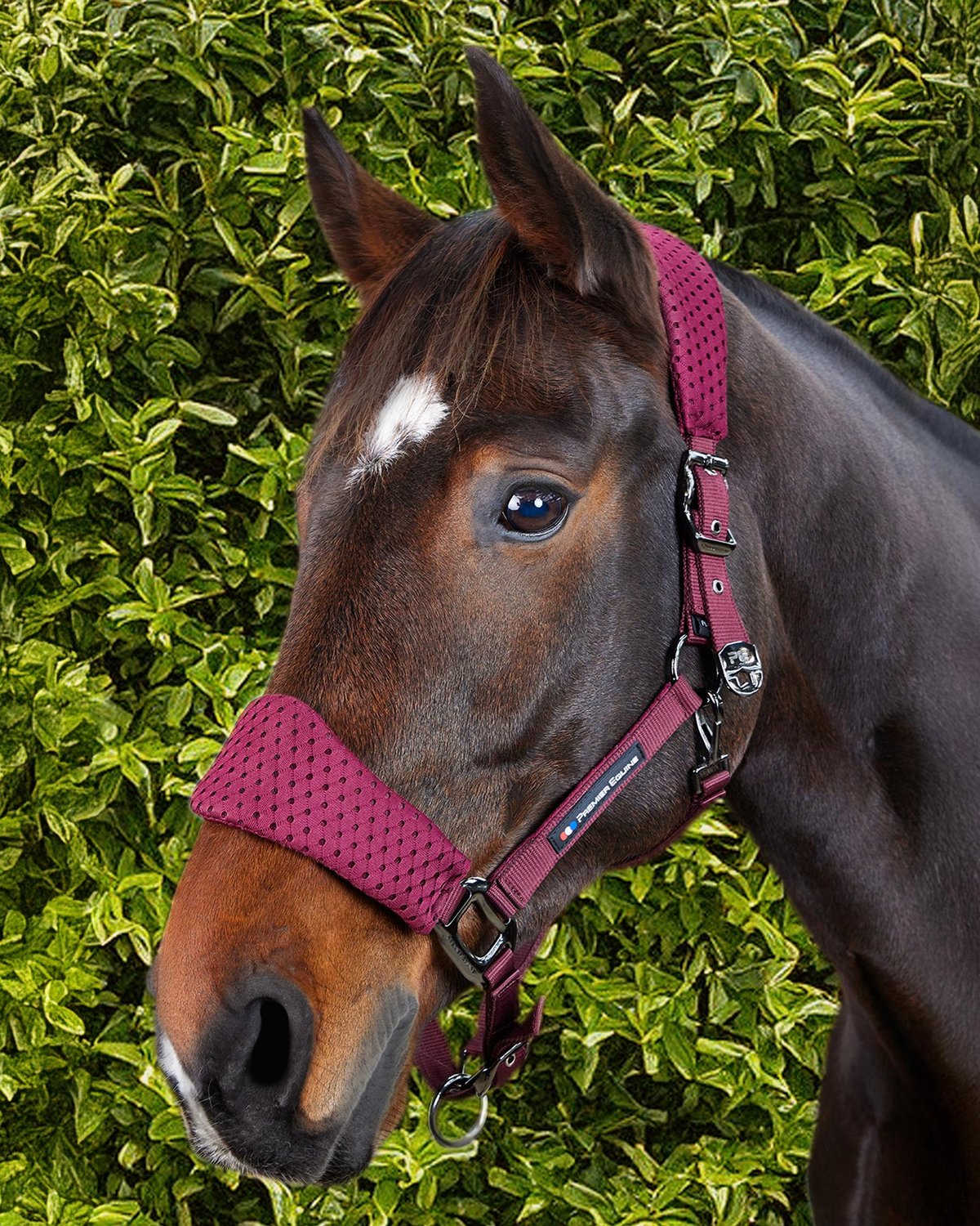 Premier Equine Necto 3D Mesh Head Collar with Lead Rope Burgundy