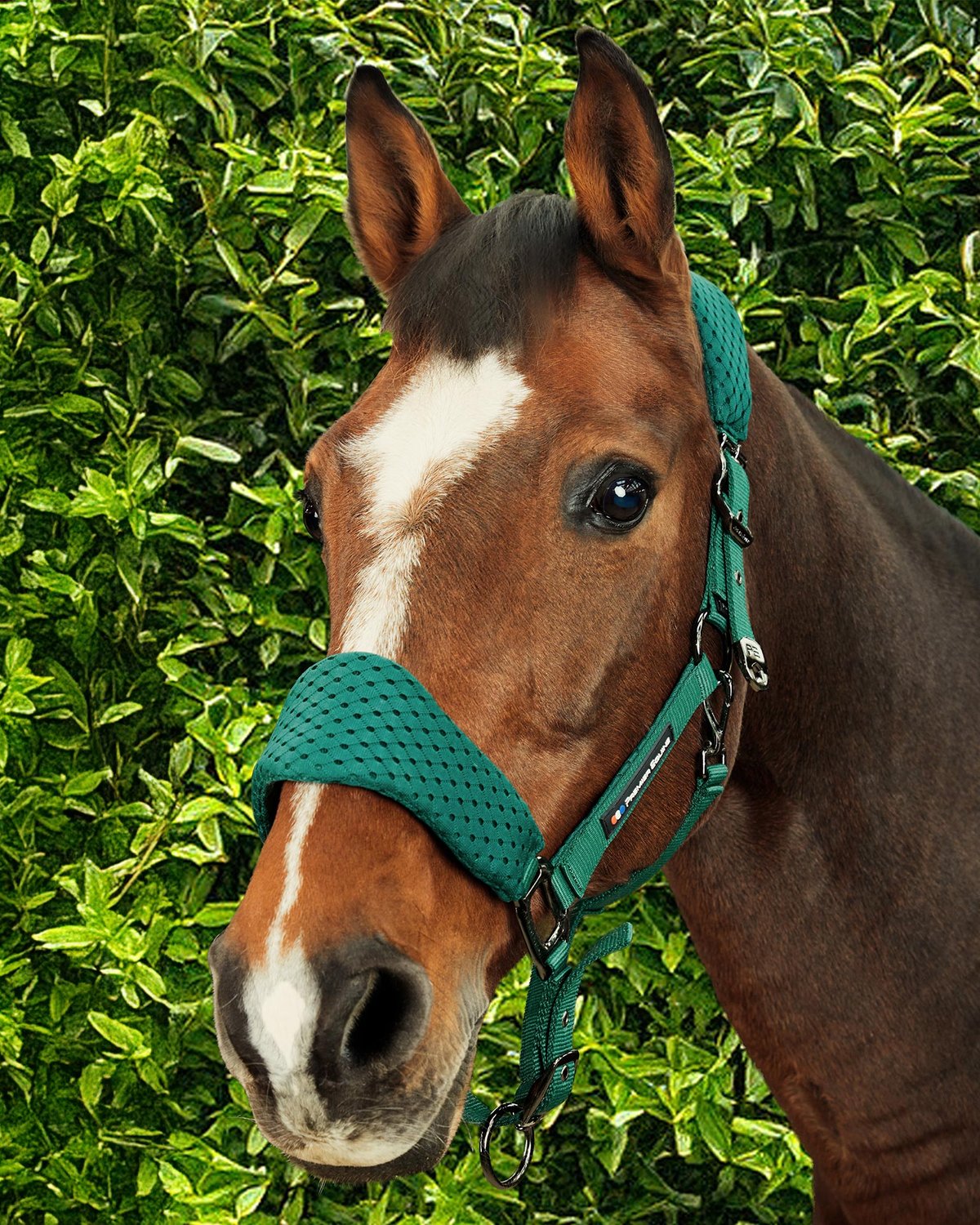 PREMIER EQUINE Necto 3D Mesh Head Collar Green: Horse head collar, comfy, adjustable.
