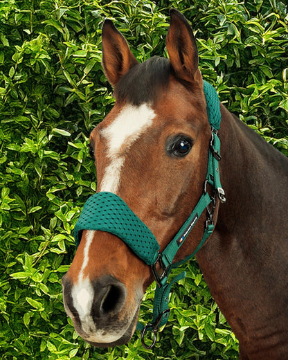 PREMIER EQUINE Necto 3D Mesh Head Collar Green: Horse head collar, comfy, adjustable.