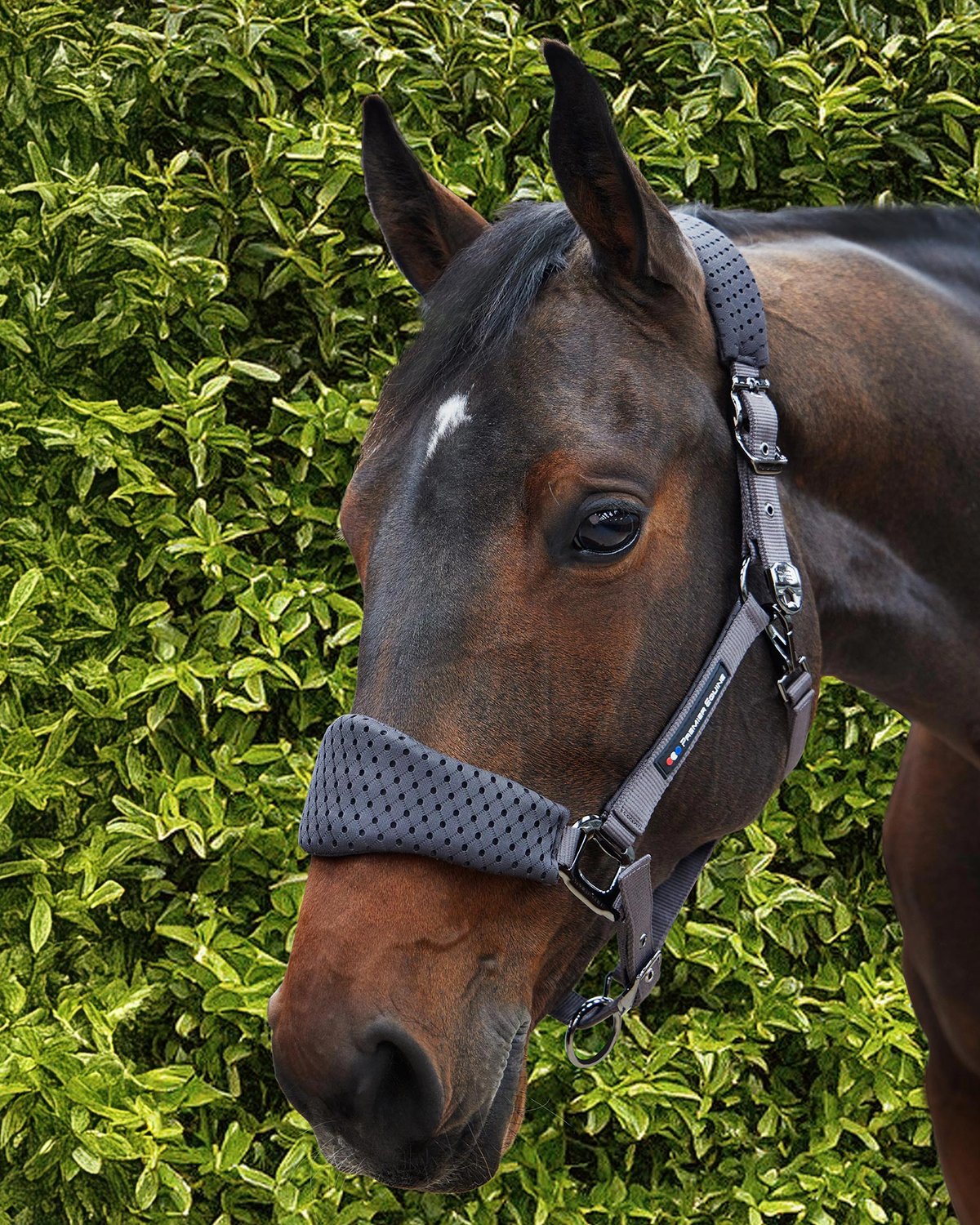 Premier Equine Necto 3D Mesh Head Collar with Lead Rope Grey