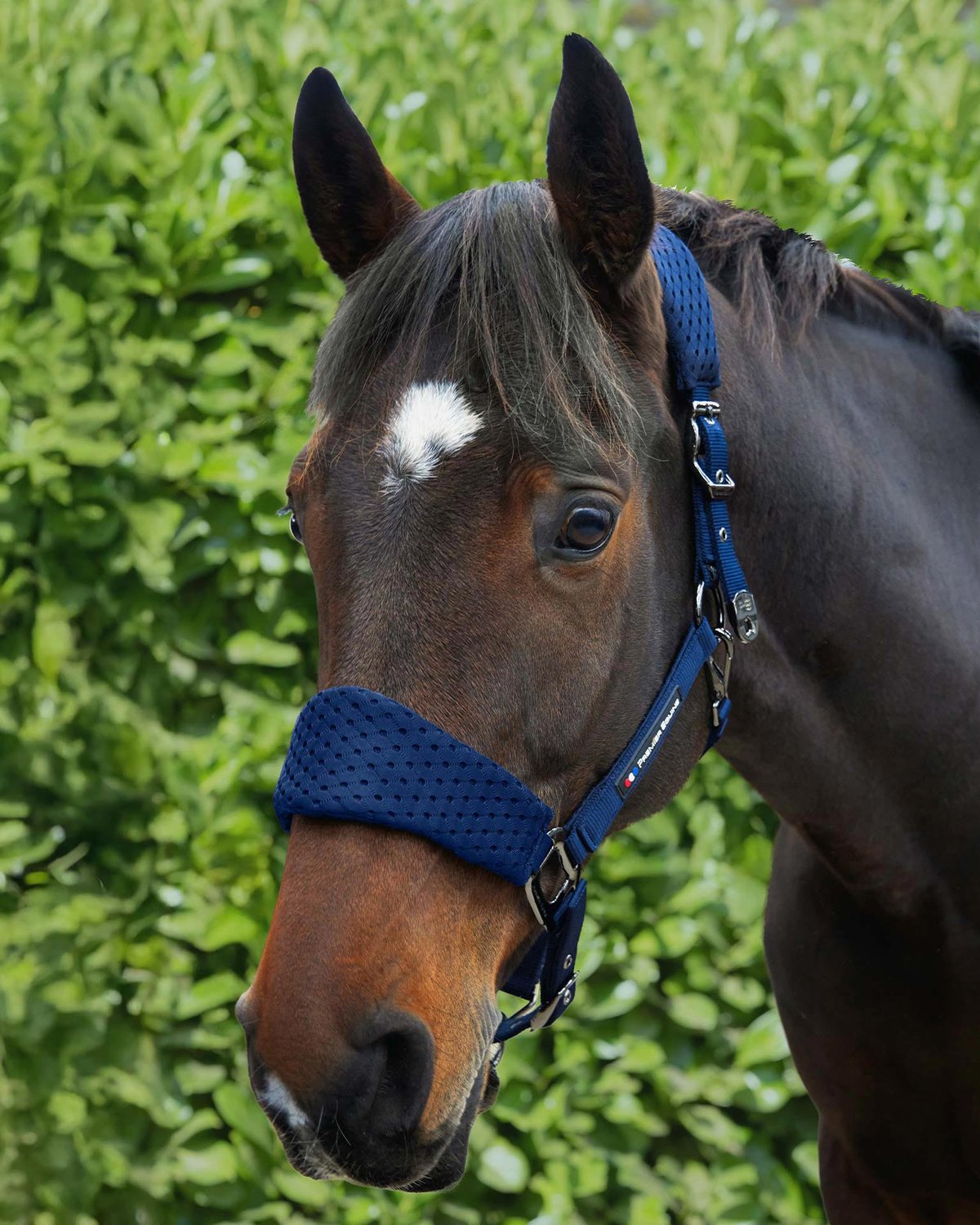 Premier Equine Necto 3D Mesh Head Collar with Lead Rope Navy