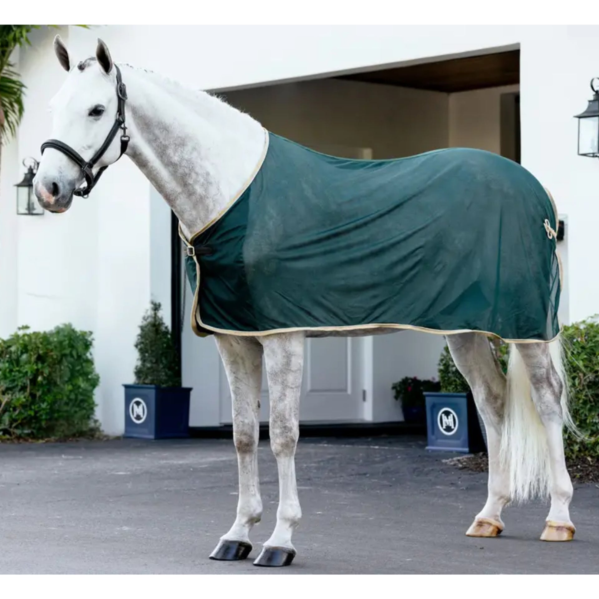 LeMieux Scrim Sheet Green: Horse Dress Cooler, Lightweight Mesh for Shows, Horseware, Equestrian Gear