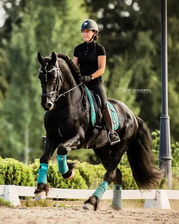 LeMieux Loire Memory Dressage Square Peacock