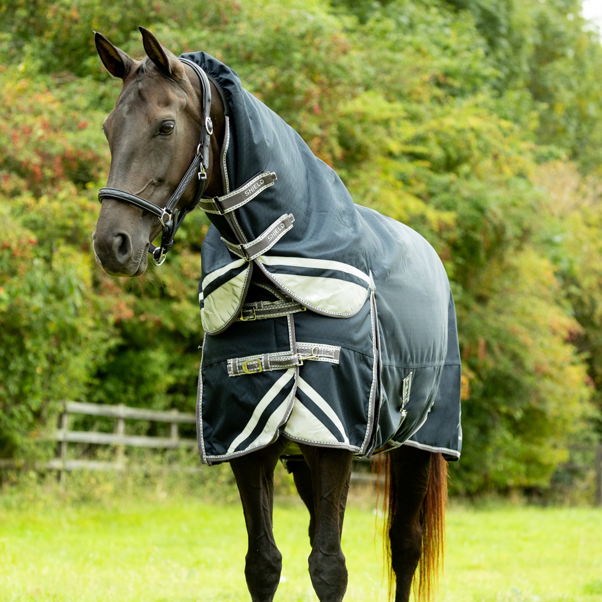 DefenceX Shield Navy Horse Turnout Rug with Detachable Neck - Waterproof Protection
