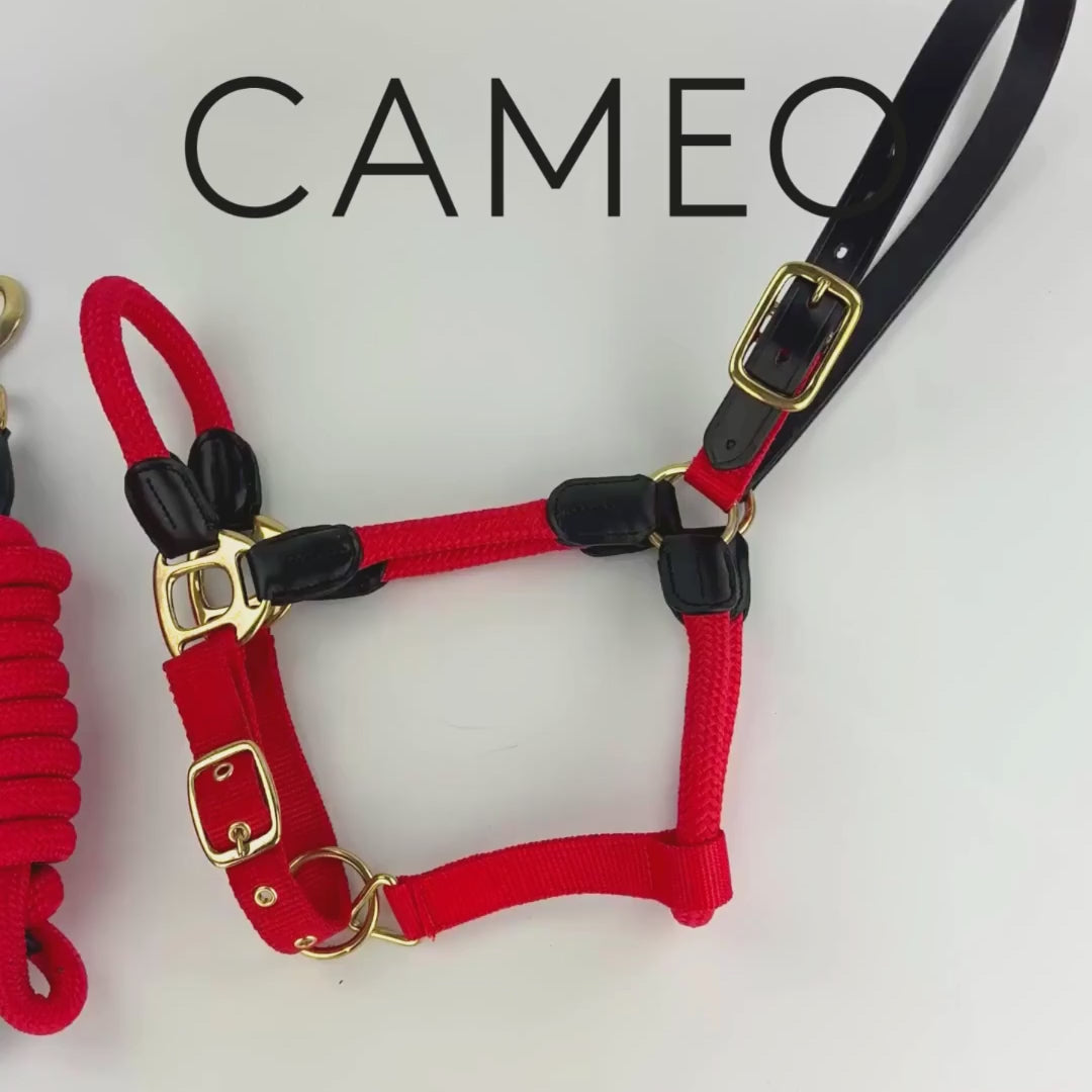Cameo Rope Leather Headcollar and Leadrope Red
