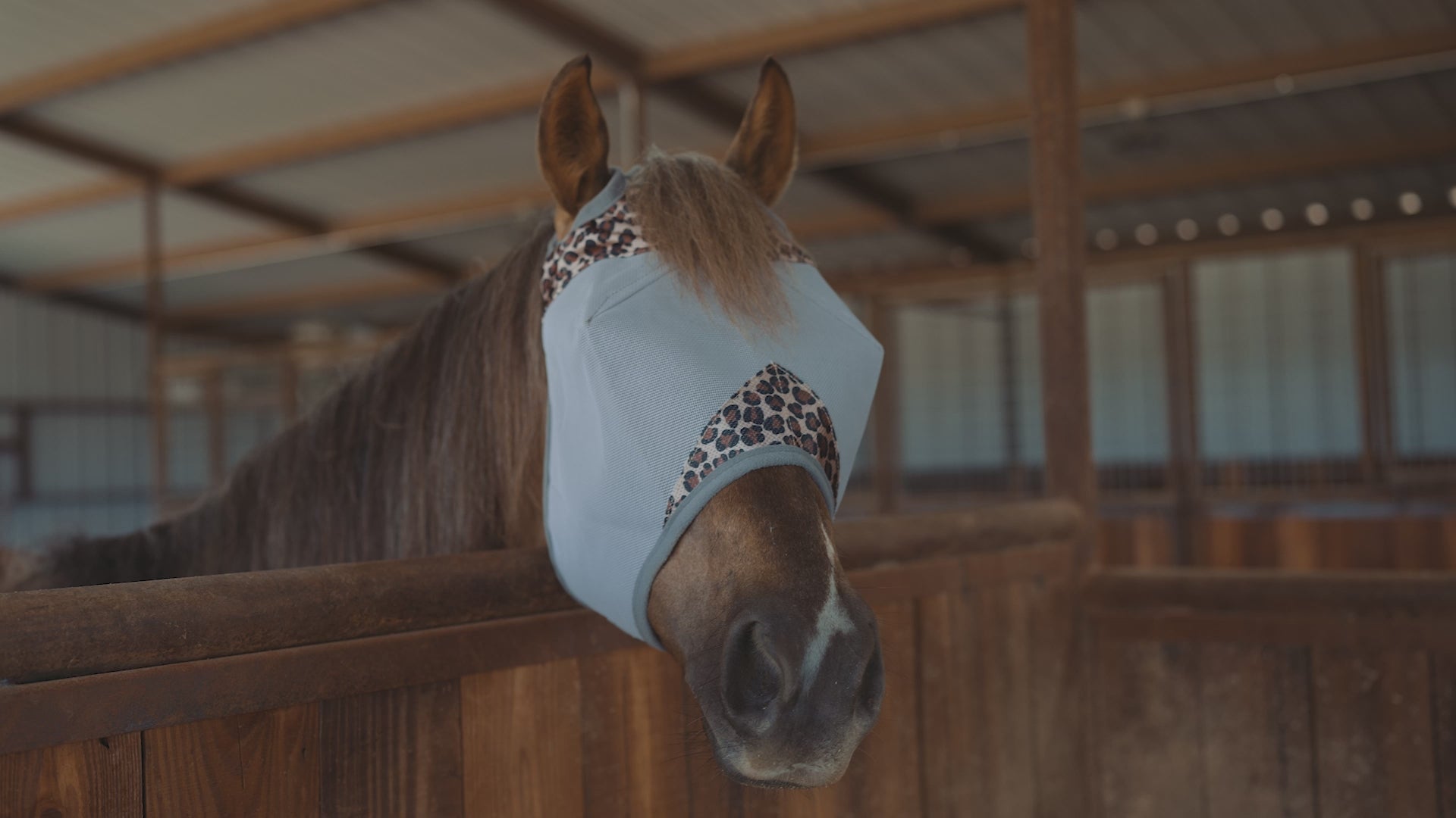Cashel Crusader Fly Mask Standard