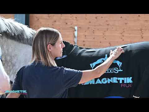 Veredus 4 Hour Magnetic Boot Rear - Blue